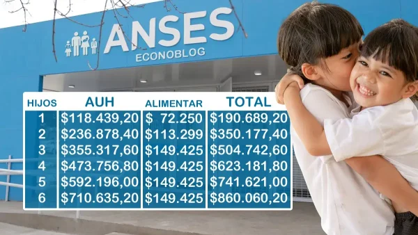 AUH y Alimentar en julio