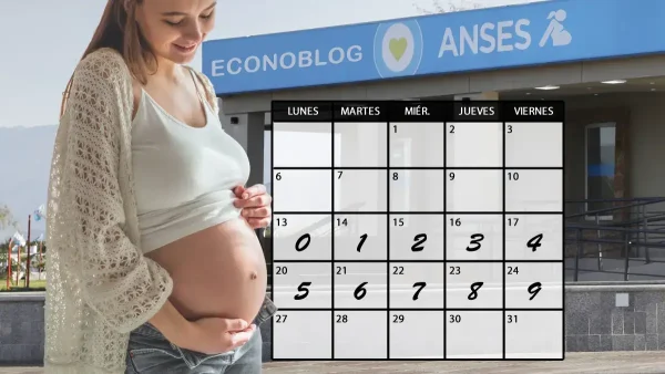 Asignación por Embarazo en julio de 2026