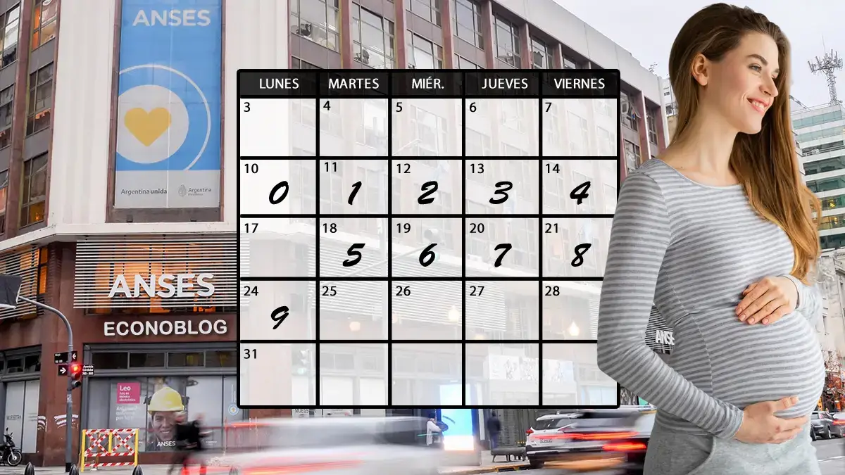 Fechas de cobro de asignación por embarazo en agosto de 2026