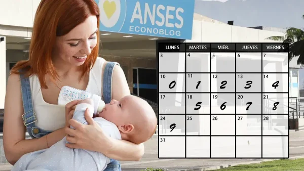 Complemento Leche en agosto