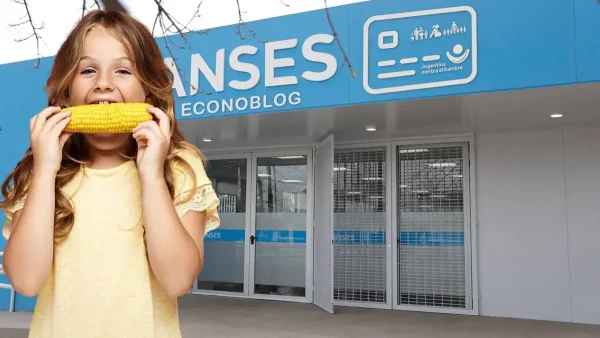 Tarjeta Alimentar en Anses