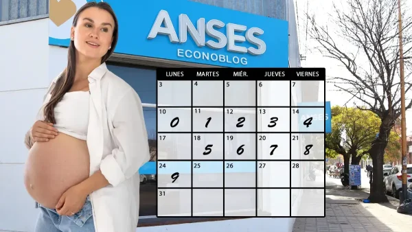 Asignación por embarazo en agosto de 2028