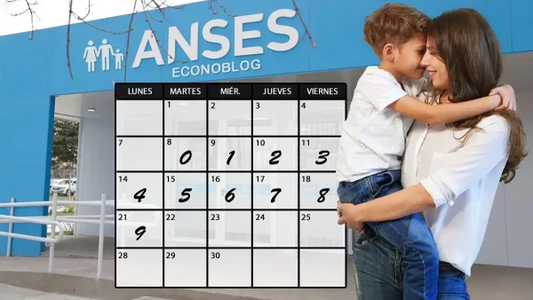 SUAF en septiembre de 2026