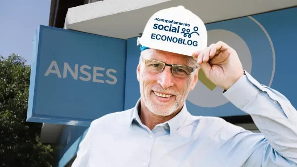 Titular de Acompañamiento Social en Anses
