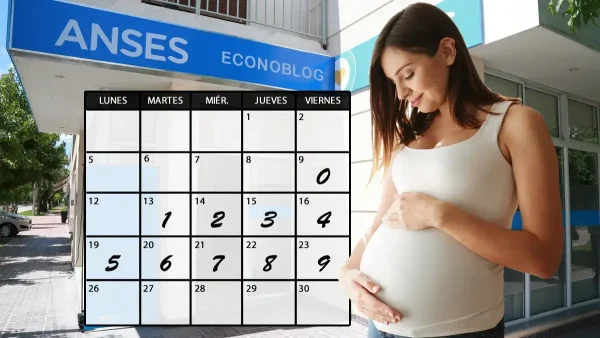 Asignación por embarazo en octubre de 2026