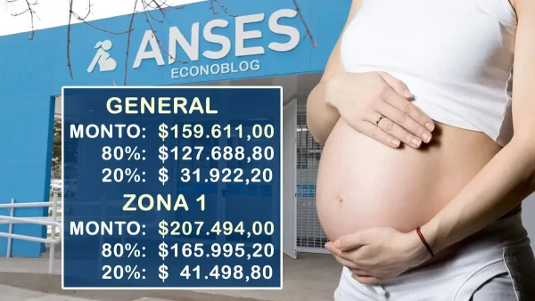 Asignación por Embarazo en noviembre de 2026