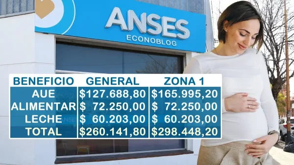 Asignación por Embarazo en noviembre