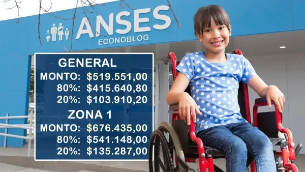 AUH con discapacidad en noviembre
