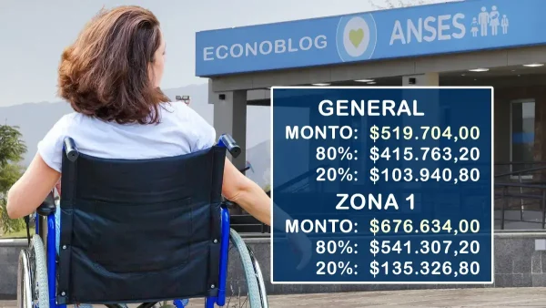 AUH con discapacidad en noviembre