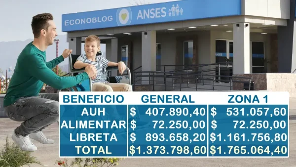 AUH con discapacidad