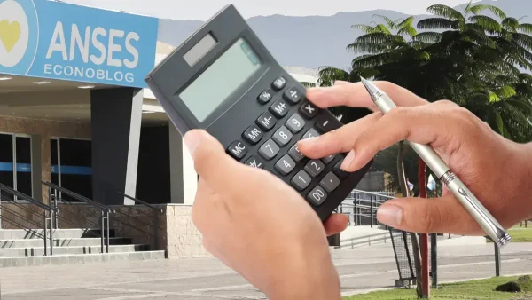 Calculadora en Anses