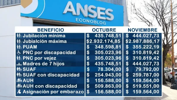 Importes estimados