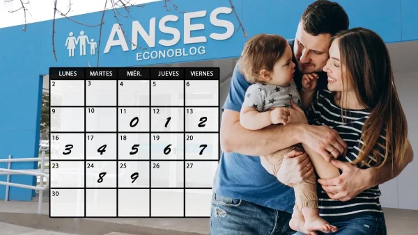 Asignaciones del SUAF en noviembre de 2026
